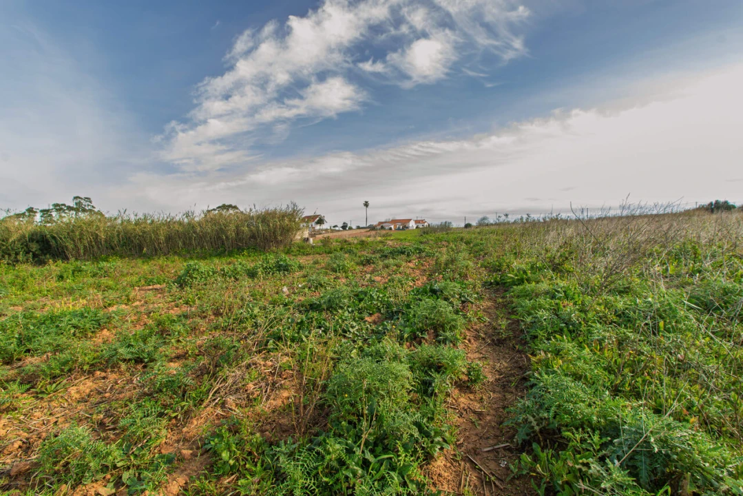 Terreno para Venda em Ericeira Foto 10