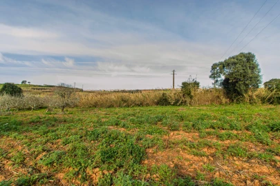Terreno para Venda em Ericeira