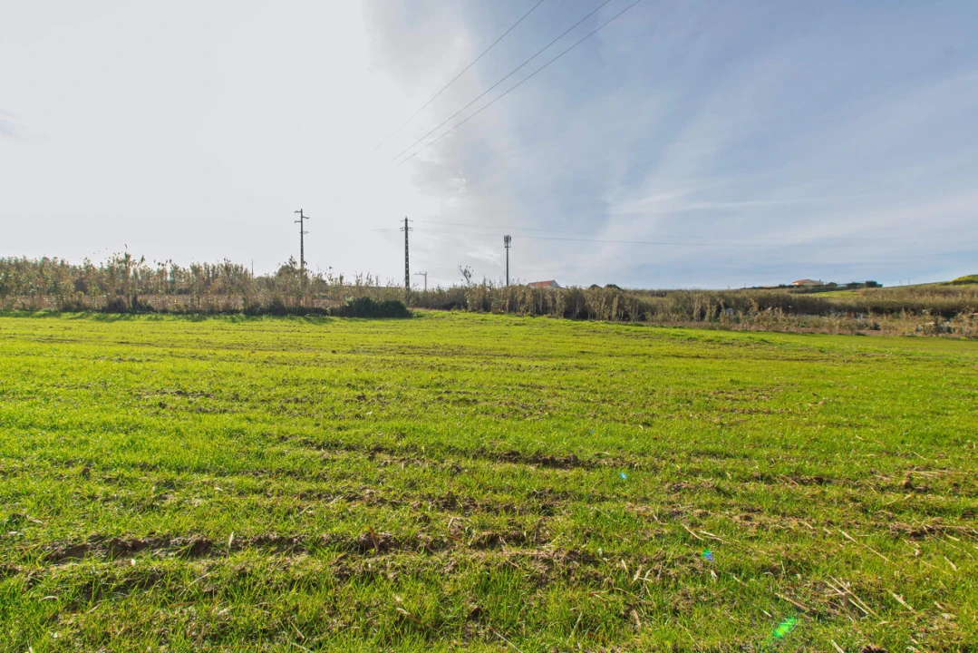 Terreno para Venda em Ericeira Foto 4