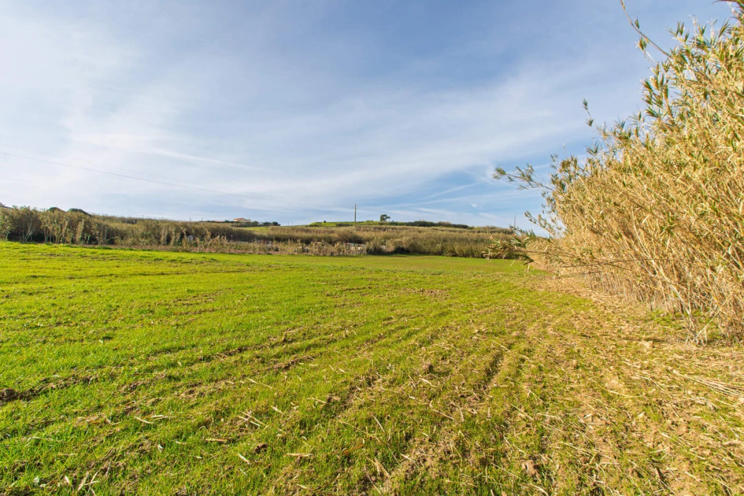 Terreno para Venda em Ericeira Foto 1