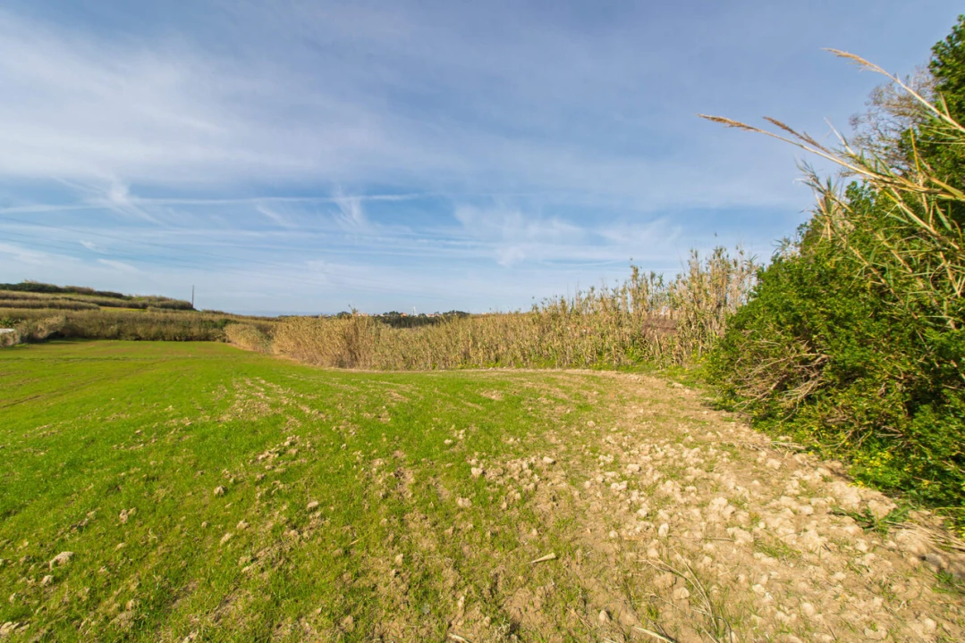 Terreno para Venda em Ericeira Foto 7