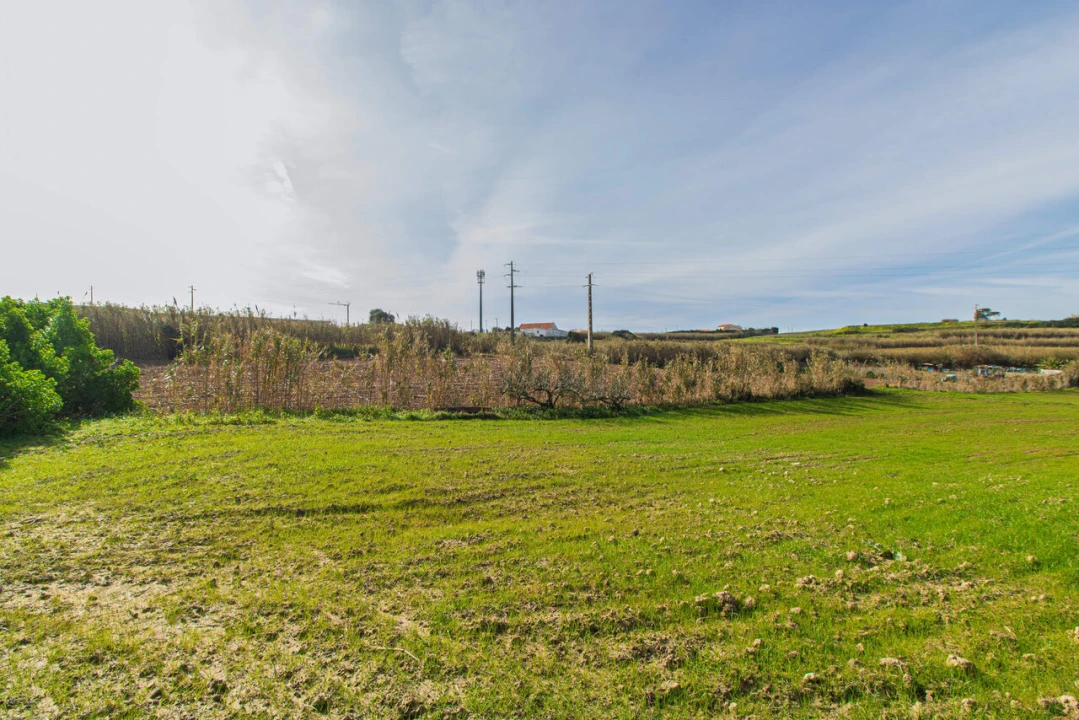 Terreno para Venda em Ericeira Foto 9