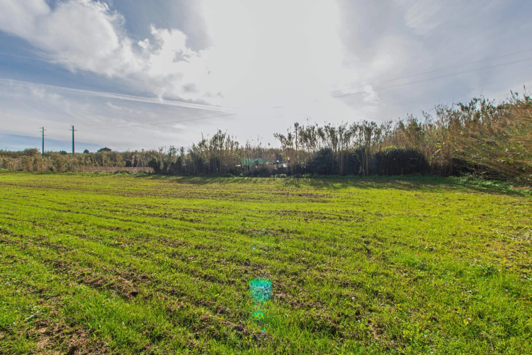 Terreno para Venda em Ericeira Foto 10