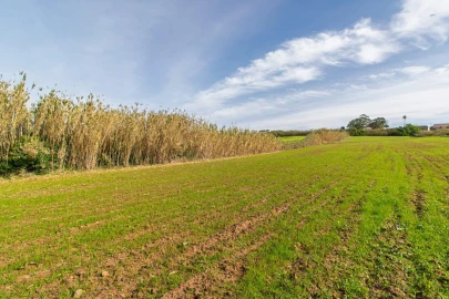 Terreno para Venda em Ericeira