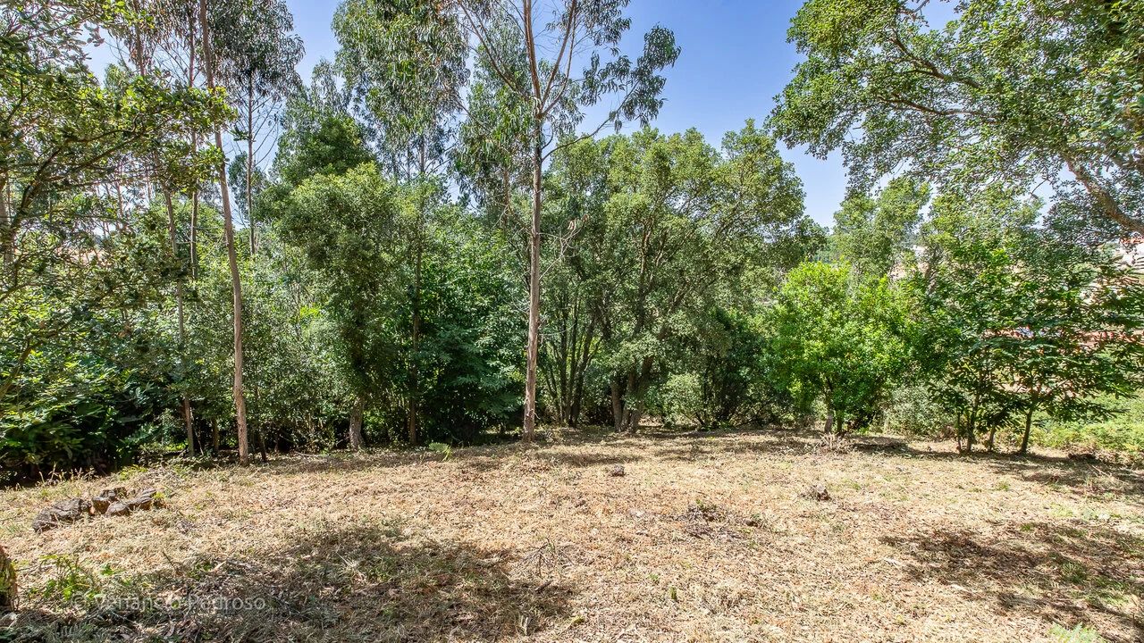 Terreno para Venda em Mafra Foto 4