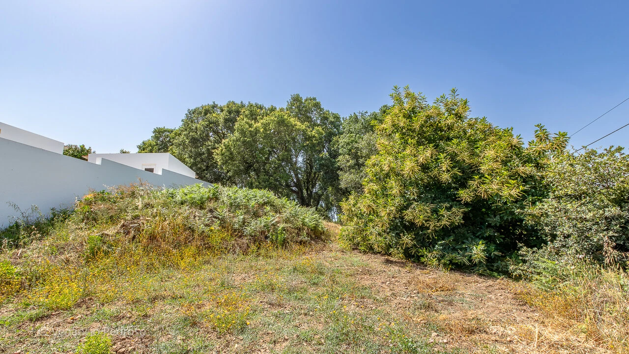 Terreno para Venda em Mafra Foto 8