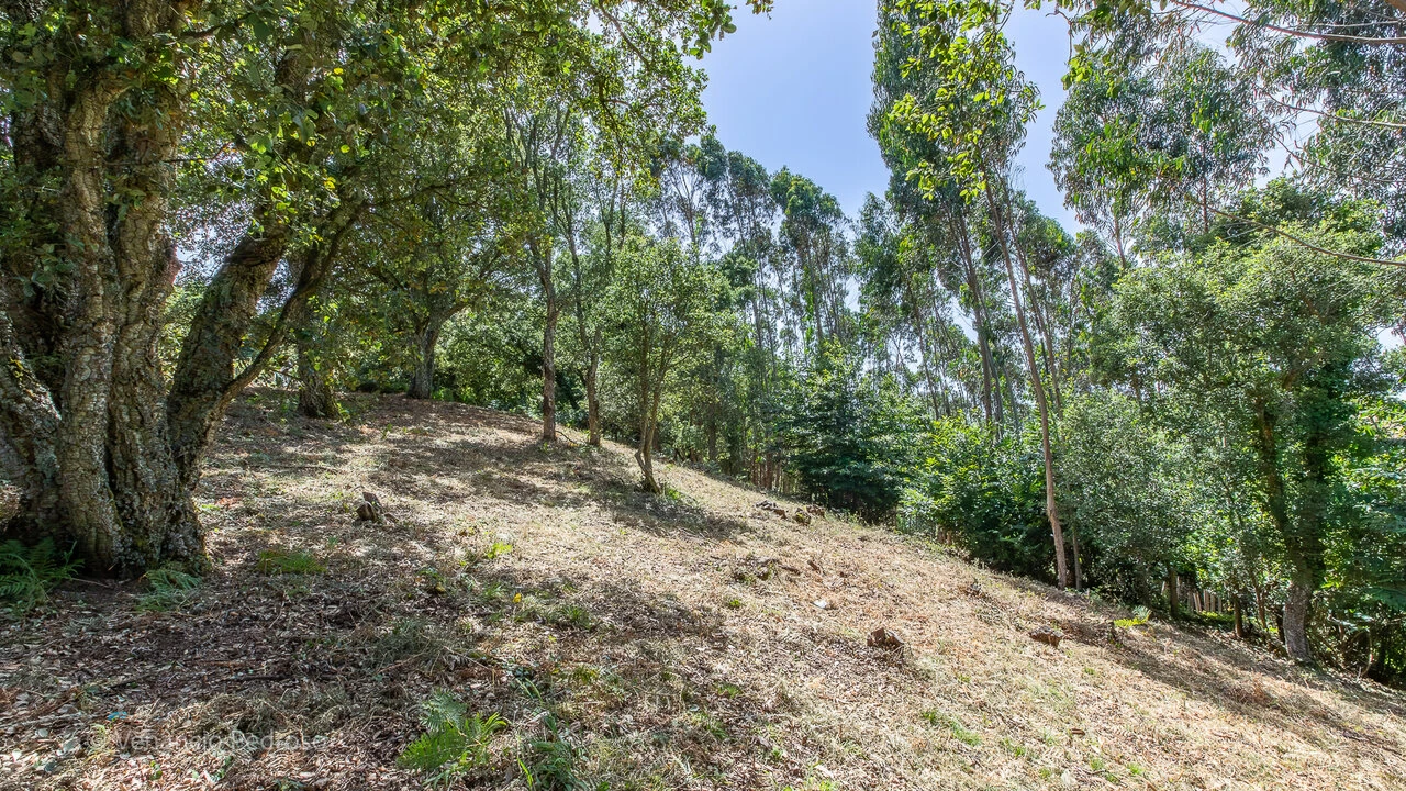 Terreno para Venda em Mafra Foto 10