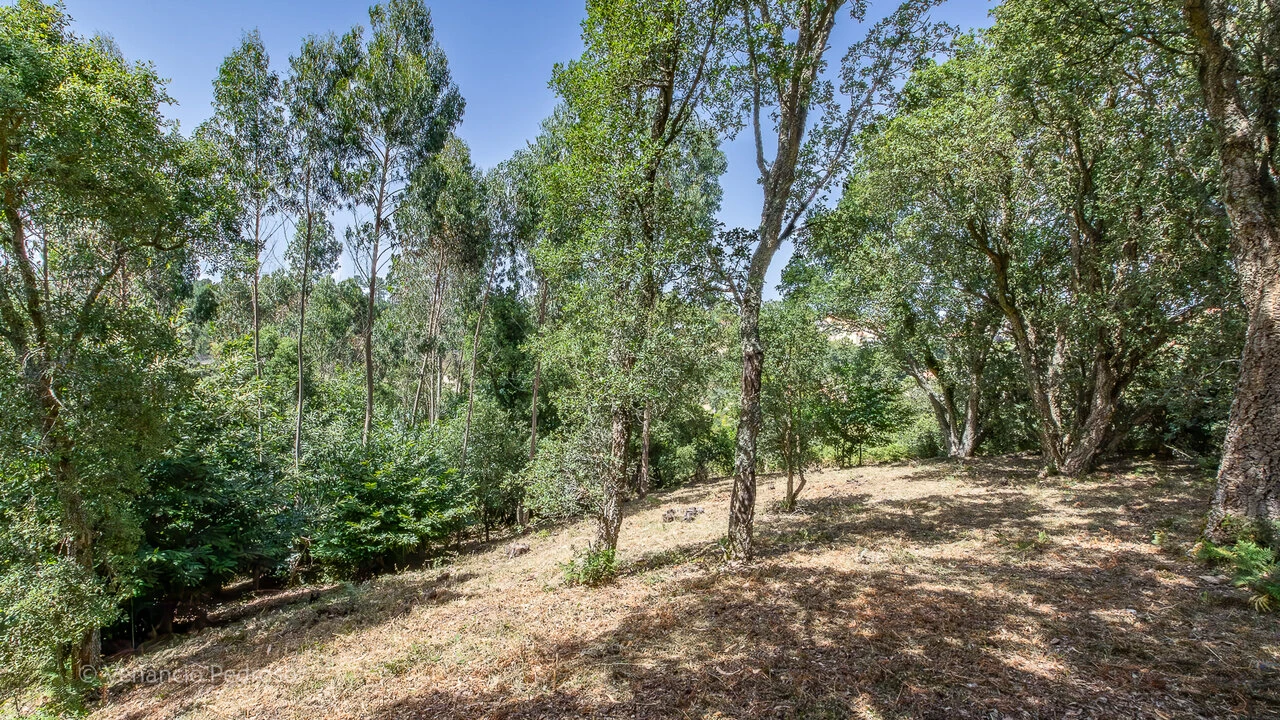 Terreno para Venda em Mafra Foto 11