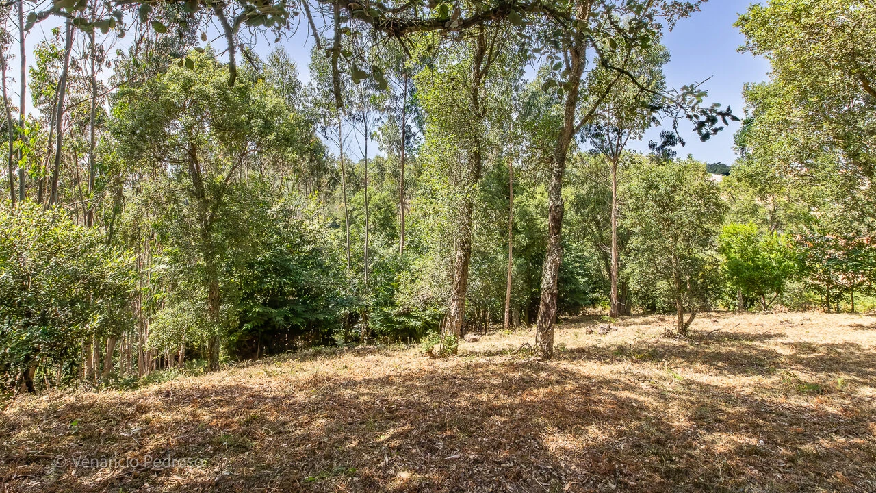 Terreno para Venda em Mafra Foto 12