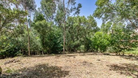 Terreno para Venda em Mafra