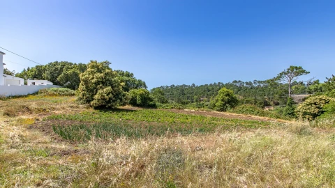 Terreno para Venda em Mafra
