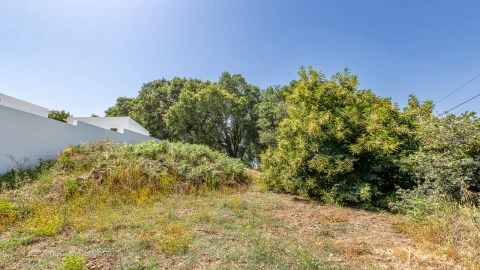Terreno para Venda em Mafra