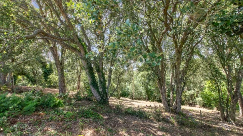 Terreno para Venda em Mafra