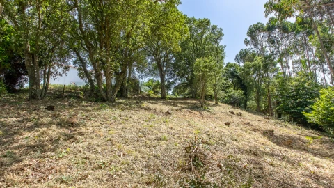 Terreno para Venda em Mafra