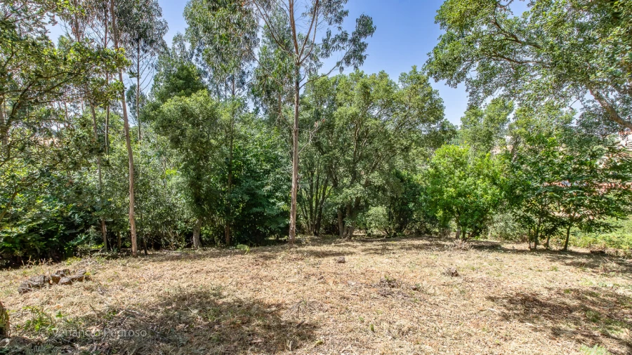Terreno para Venda em Mafra Foto 4