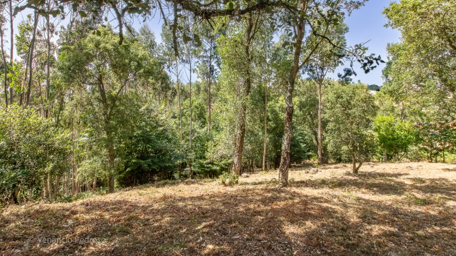 Terreno para Venda em Mafra Foto 12