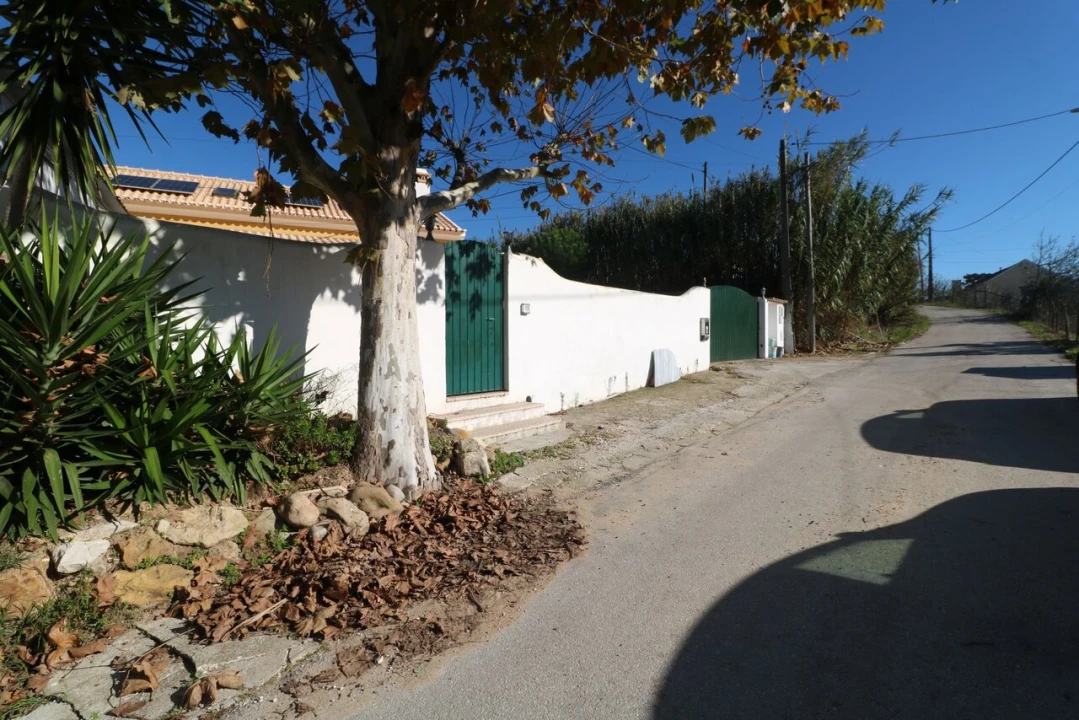 Quinta T6 para Venda em Ericeira Foto 2