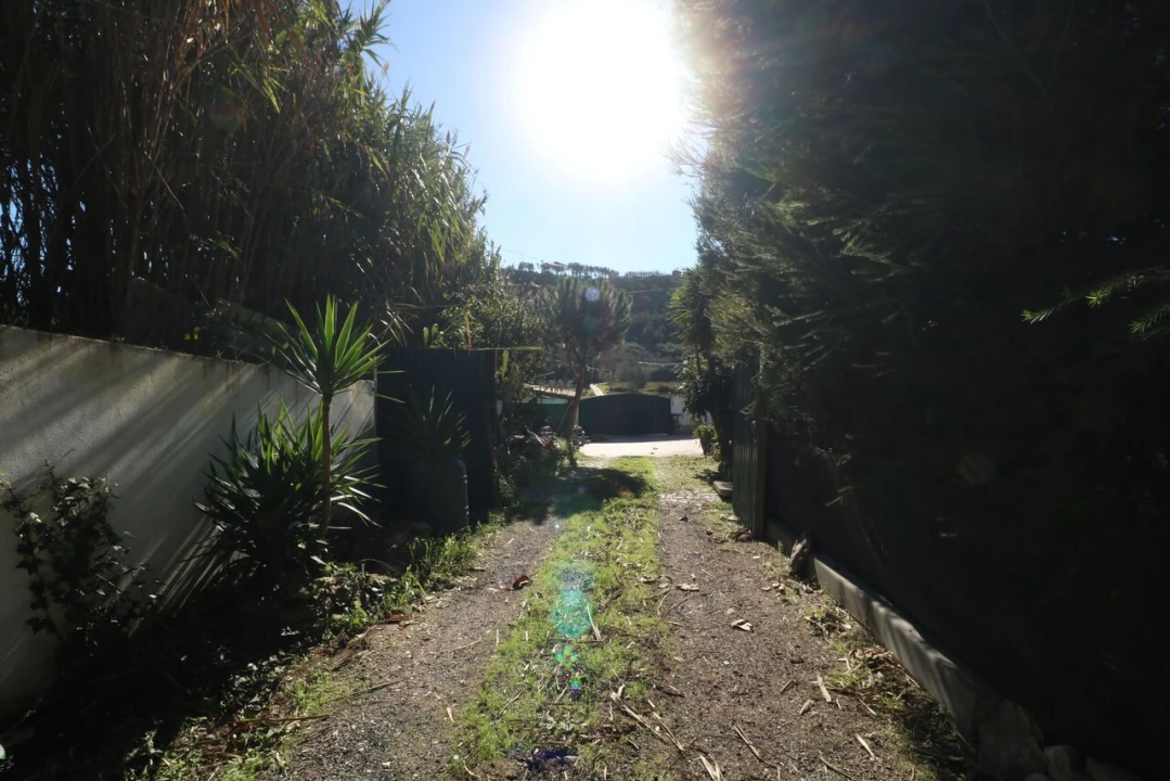 Quinta T6 para Venda em Ericeira Foto 50