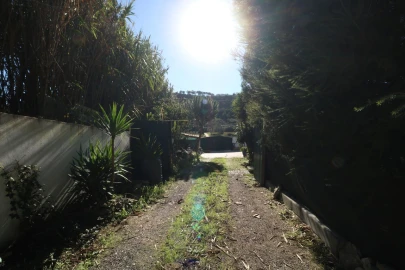 Quinta T6 para Venda em Ericeira