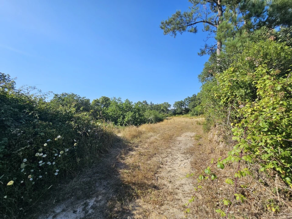 Terreno para Venda em Venda do Pinheiro e Santo Estêvão das Galés Foto 1