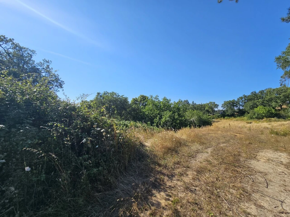 Terreno para Venda em Venda do Pinheiro e Santo Estêvão das Galés Foto 4