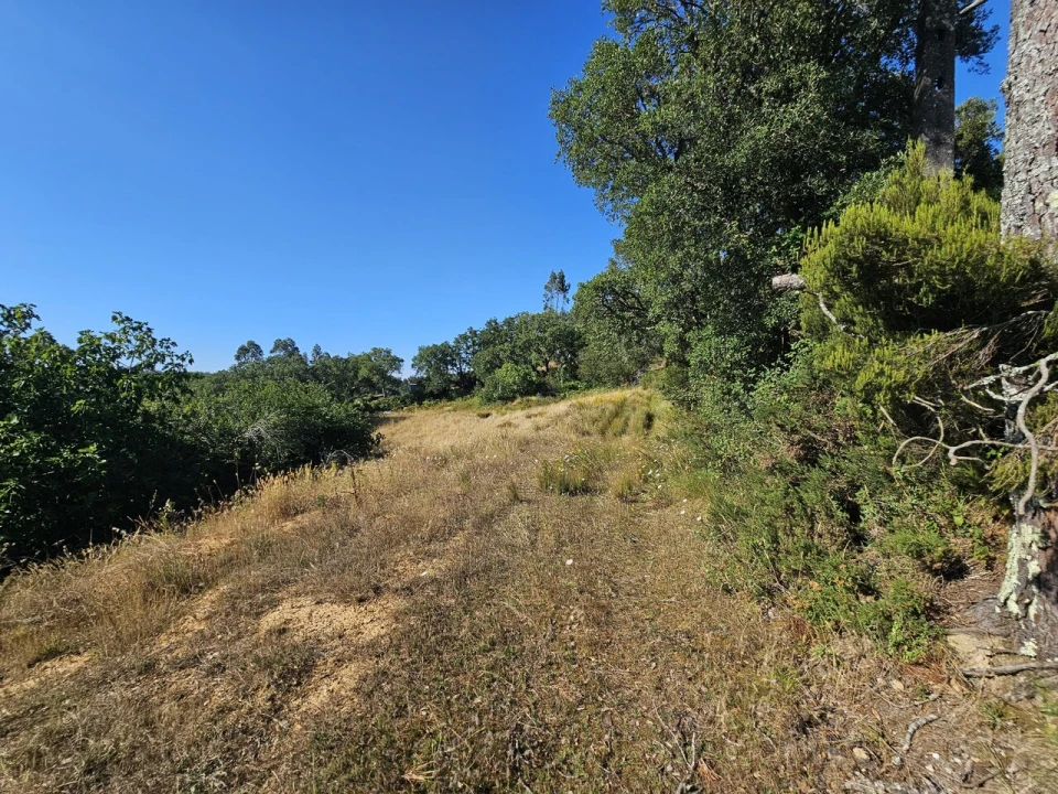 Terreno para Venda em Venda do Pinheiro e Santo Estêvão das Galés Foto 6
