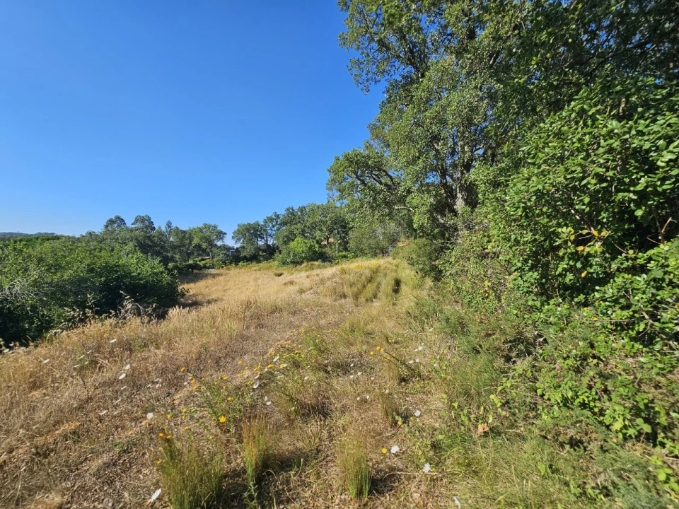 Terreno para Venda em Venda do Pinheiro e Santo Estêvão das Galés Foto 8