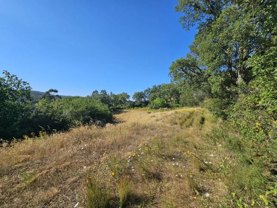 Terreno para Venda em Venda do Pinheiro e Santo Estêvão das Galés Foto 9
