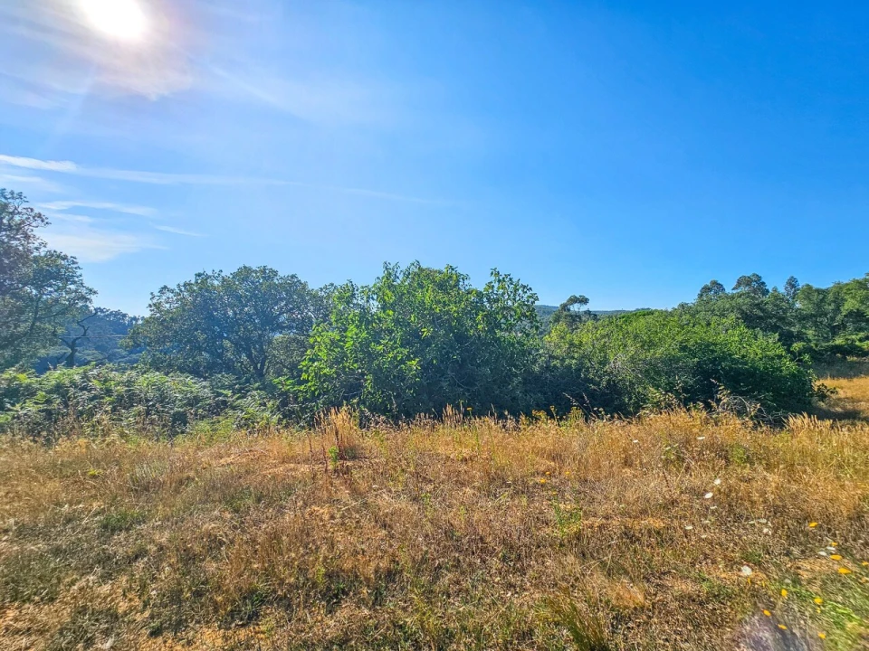 Terreno para Venda em Venda do Pinheiro e Santo Estêvão das Galés Foto 12