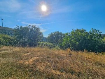 Terreno para Venda em Venda do Pinheiro e Santo Estêvão das Galés