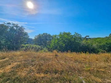 Terreno para Venda em Venda do Pinheiro e Santo Estêvão das Galés