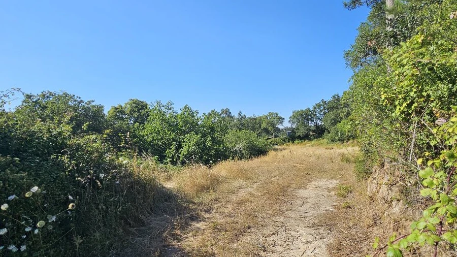 Terreno para Venda em Venda do Pinheiro e Santo Estêvão das Galés