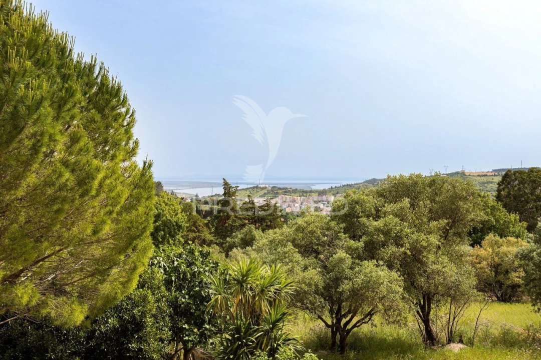 Quinta T3 para Venda em Vila Franca de Xira Foto 30