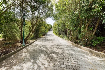 Quinta T3 para Venda em Vila Franca de Xira