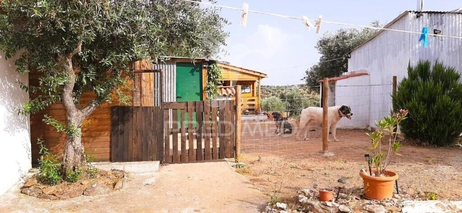 Quinta T2 para Venda em Amieira e Alqueva Foto 19