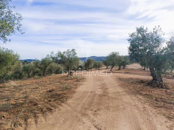 Quinta T2 para Venda em Amieira e Alqueva Foto 9