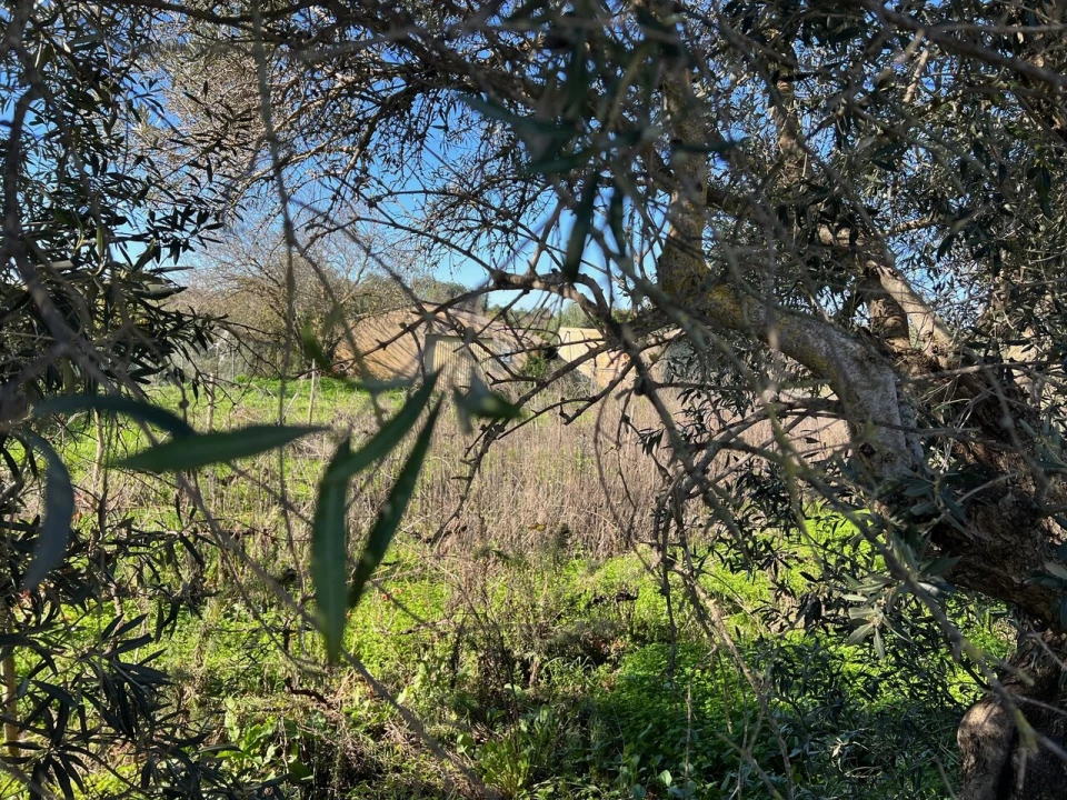 Terreno para Venda em Paderne Foto 8