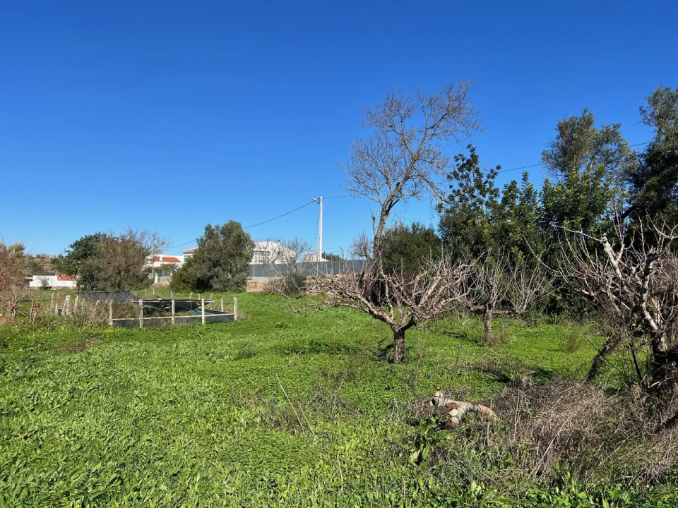 Terreno para Venda em Paderne Foto 11