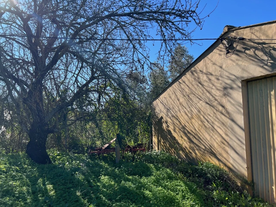 Terreno para Venda em Paderne Foto 21