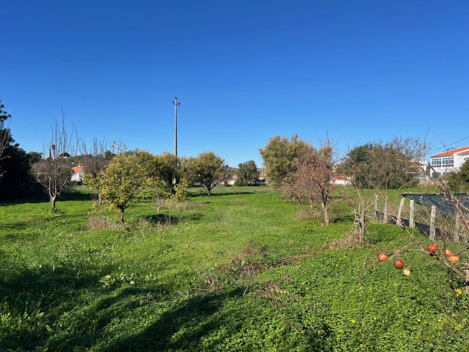 Terreno para Venda em Paderne Foto 4