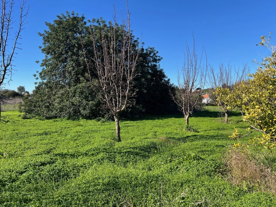 Terreno para Venda em Paderne Foto 25