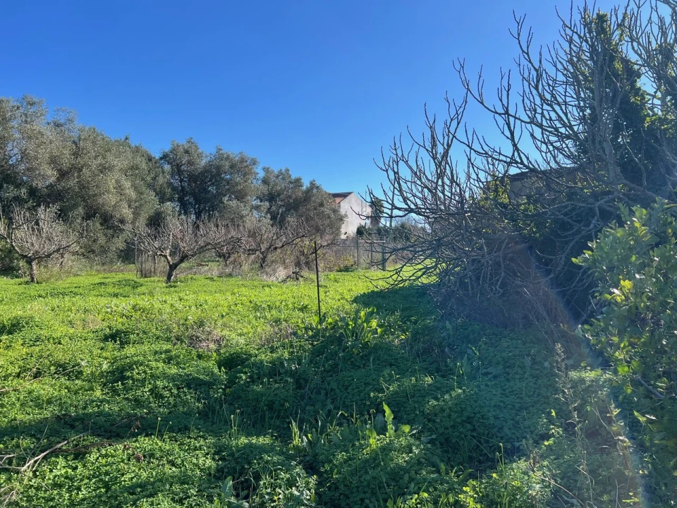 Terreno para Venda em Paderne Foto 31