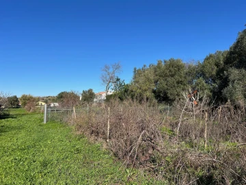 Terreno para Venda em Paderne