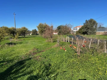 Terreno para Venda em Paderne