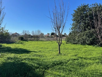 Terreno para Venda em Paderne