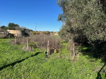 Terreno para Venda em Paderne