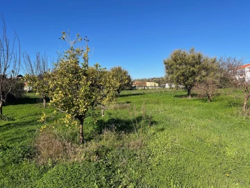 Terreno para Venda em Paderne
