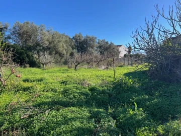 Terreno para Venda em Paderne