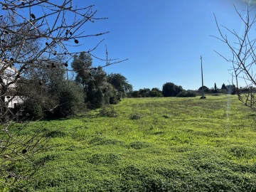 Terreno para Venda em Paderne