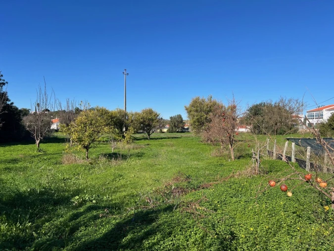 Terreno para Venda em Paderne Foto 4